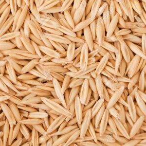 whole oats.jpg