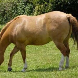 iStock_000009288114Small - Copy - Copy.jpg