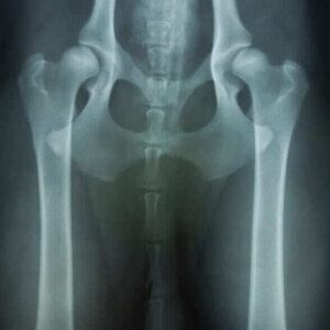 shutterstock 41961568