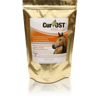 Cur-OST EQ Pure Critical