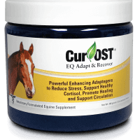 Cur-OST EQ Adapt & Recover
