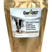 Cur-OST EQ Collamend