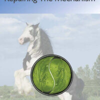 The Metabolic Horse; Repairing the Mechanism