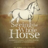 "Seeing The Whole Horse"